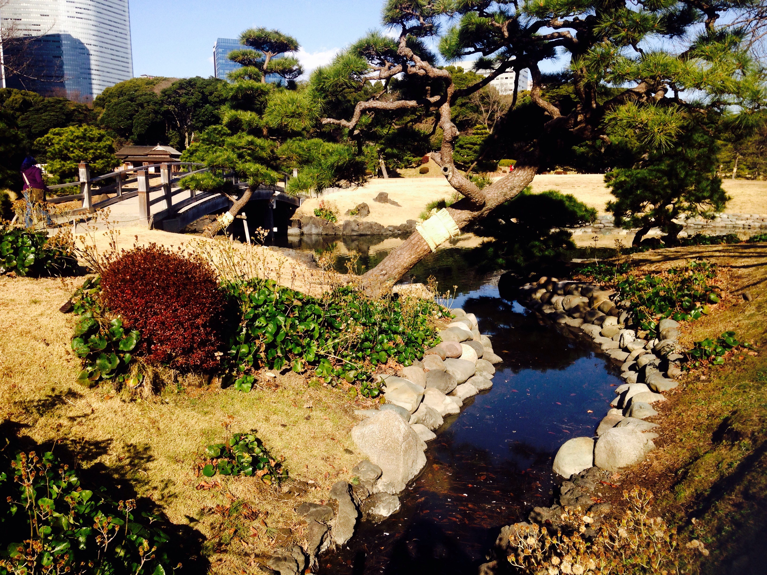 日本庭園の景観