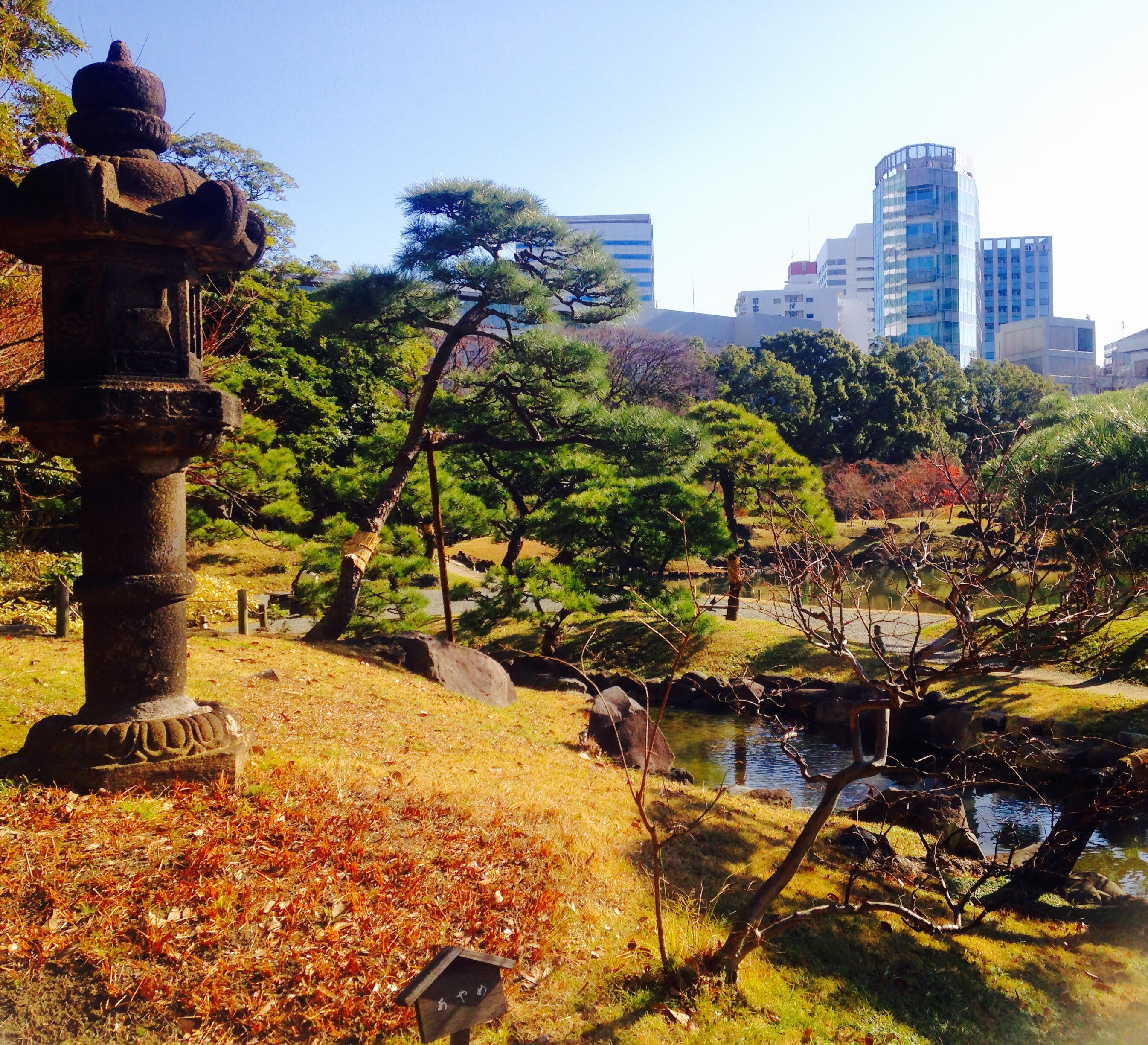 美しい石灯篭と日本庭園