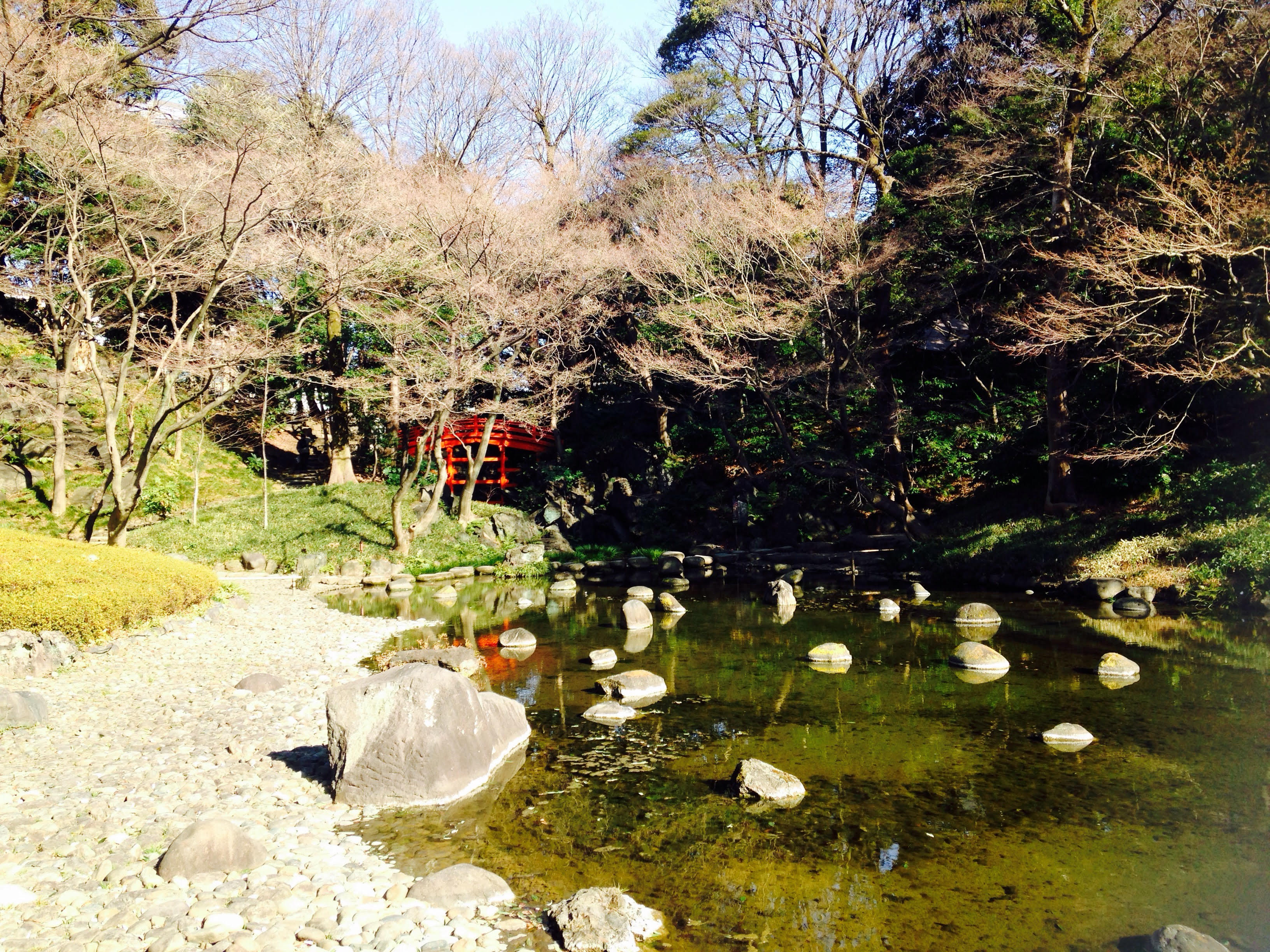 小石川庭園の様子