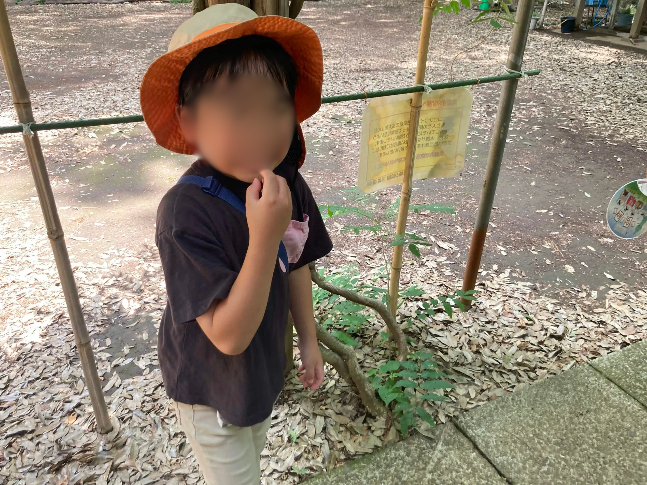 屋敷林の中で桑の実を手に取り、じっくりと観察する子どもたち