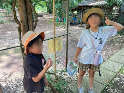 西東京市の屋敷林で桑の実を観察するaini school保谷STEAM校の子どもたち