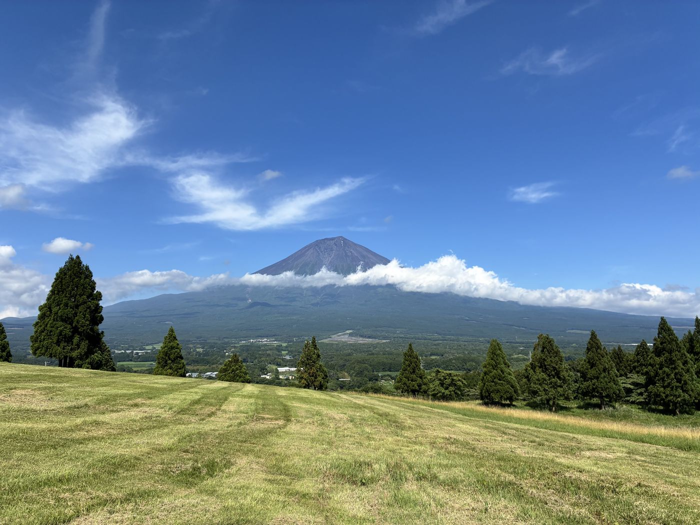 青空と白い雲を背景に緑の草原越しに見える富士山の絶景