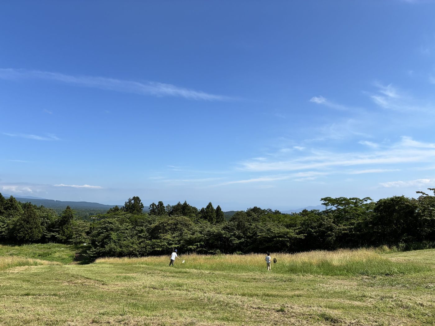 青空と緑の草原が広がる富士山YMCAの敷地で虫取りをする子どもたち