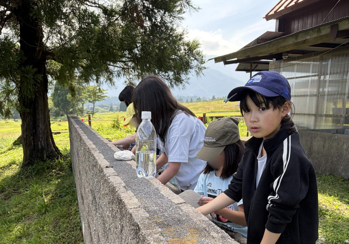 富士山麓の緑を背景に、屋外の台で食器を洗うaini schoolの生徒たち