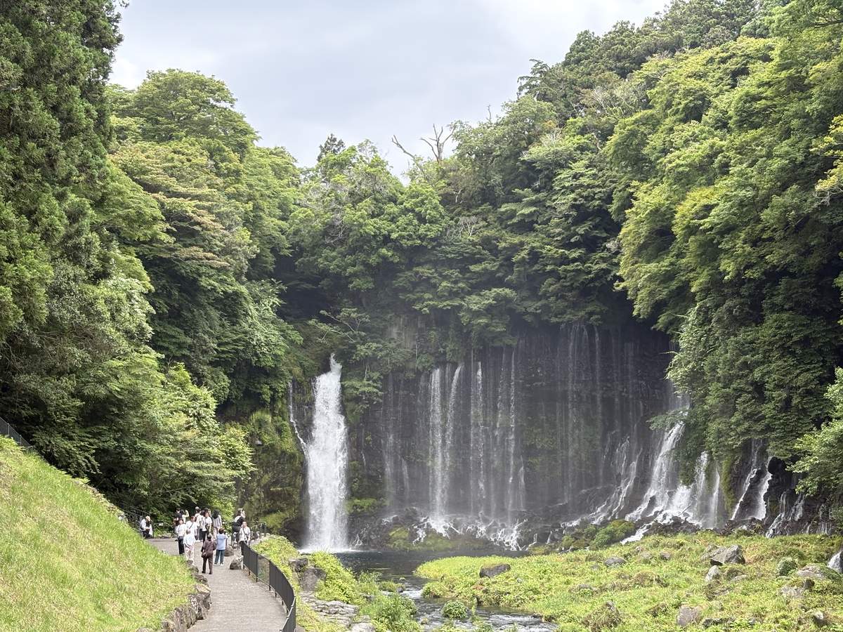緑豊かな崖一面から幾筋にも流れ落ちる白糸の滝の全景