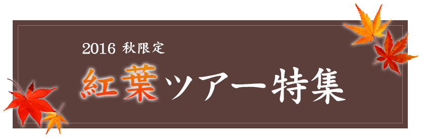 2016 秋限定「紅葉ツアー特集」