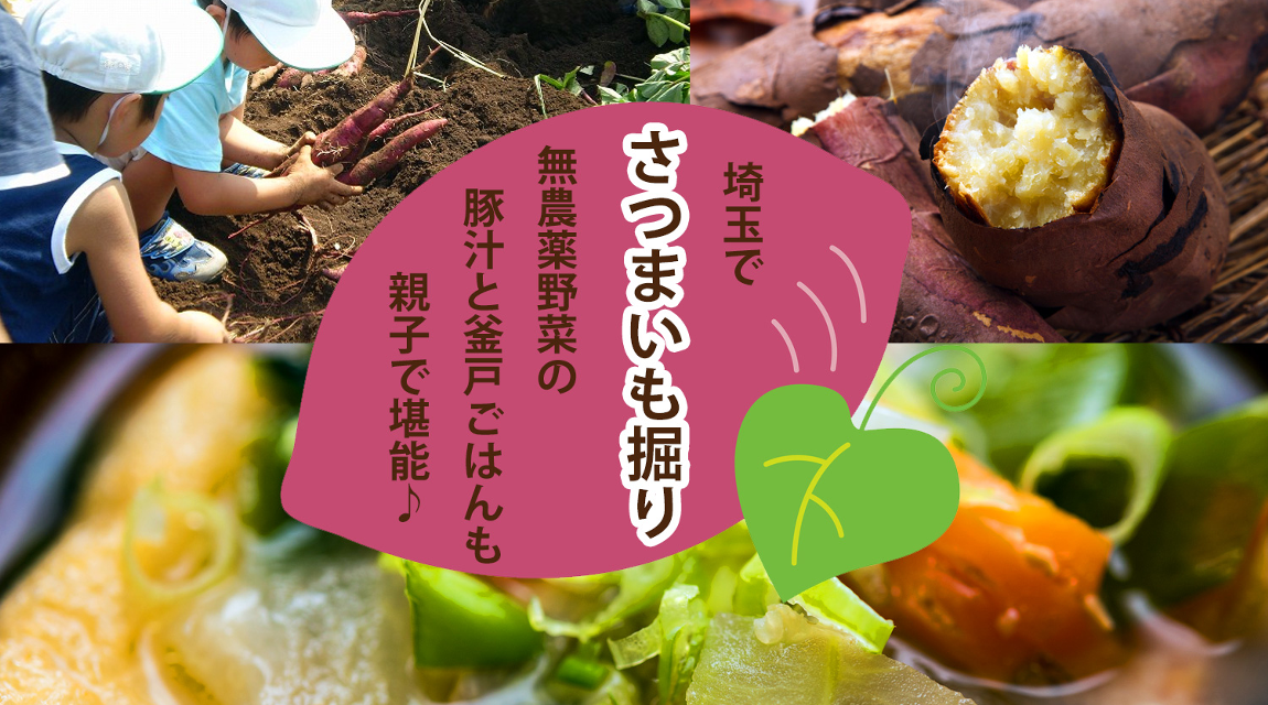 【埼玉県坂戸】親子でも楽しめる！さつまいも掘りと無農薬野菜ランチ