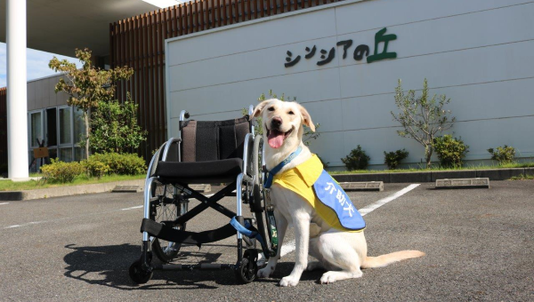 日本介助犬協会