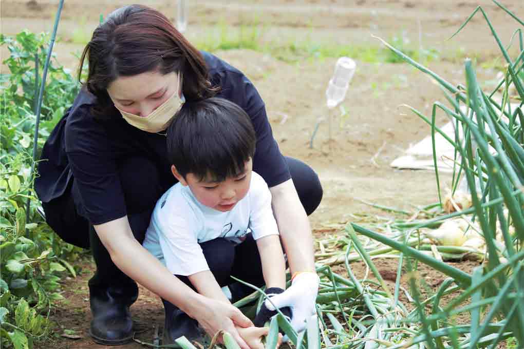 親子で収穫体験