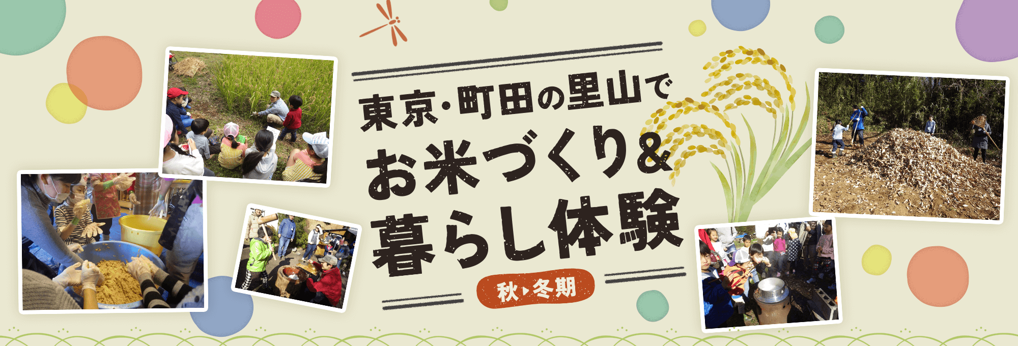 東京・町田の里山でお米づくり＆暮らし体験【秋～冬期】