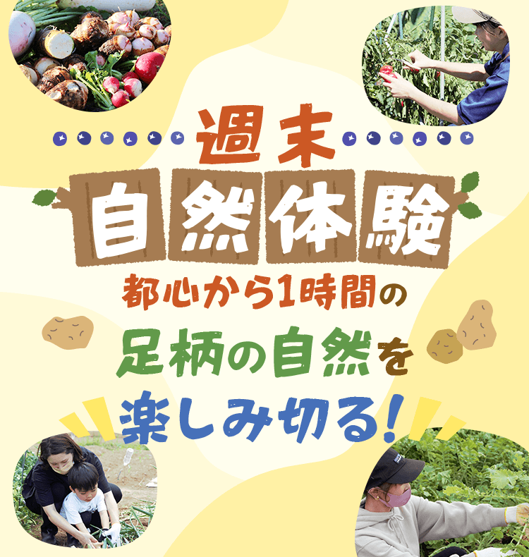 週末自然体験〜都心から1時間の足柄の自然を楽しみ切る！