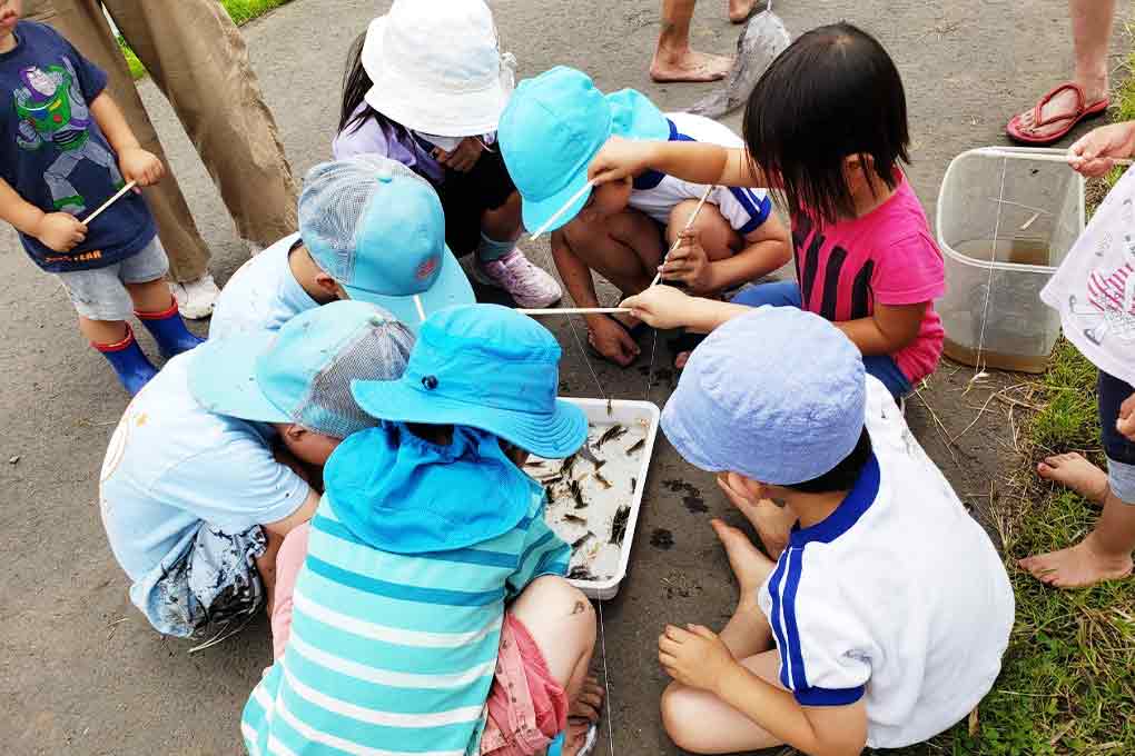 おこめLABO体験イメージ