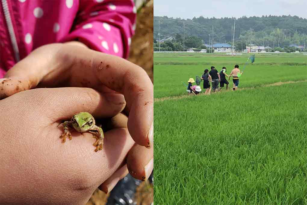 おこめLABO体験イメージ