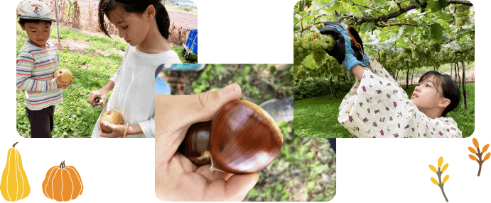 体験イメージ_Nuria