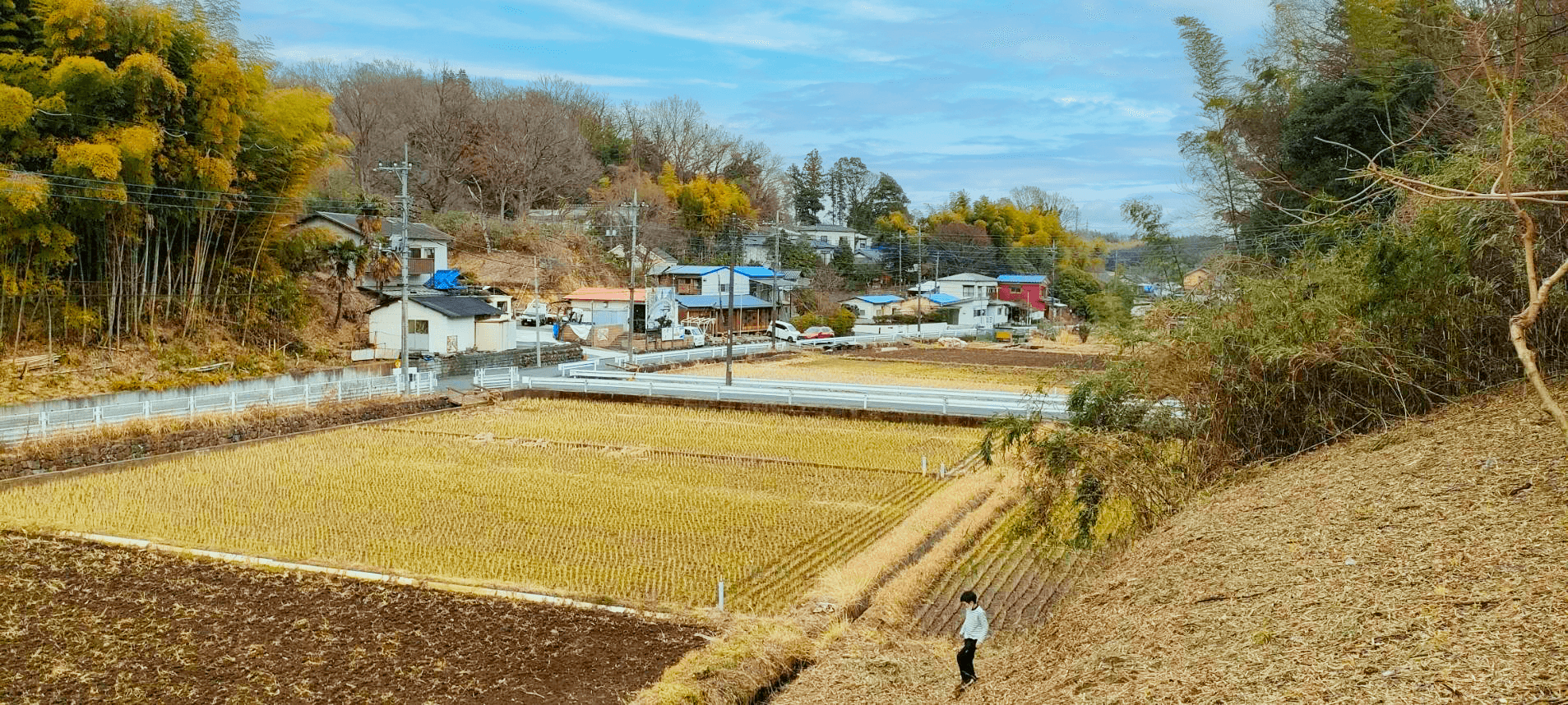 ainiコミュニティ|アレックス農園 お米づくり・専用プラン