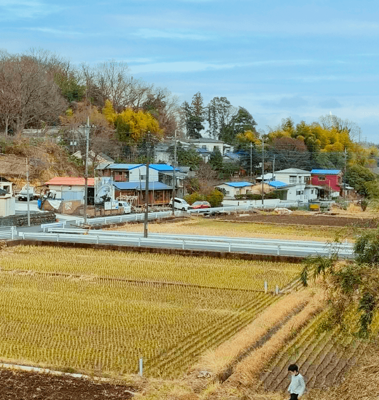 ainiコミュニティ|アレックス農園 お米づくり・専用プラン