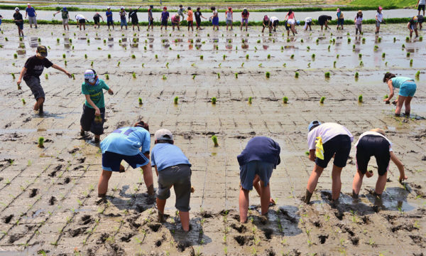 四季折々の自然体験で感性と知識を育む