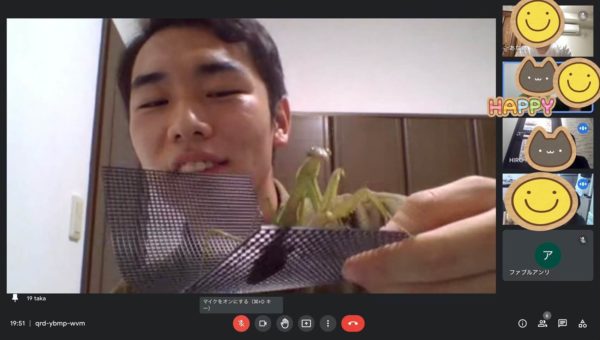 オンライン昆虫飼育相談