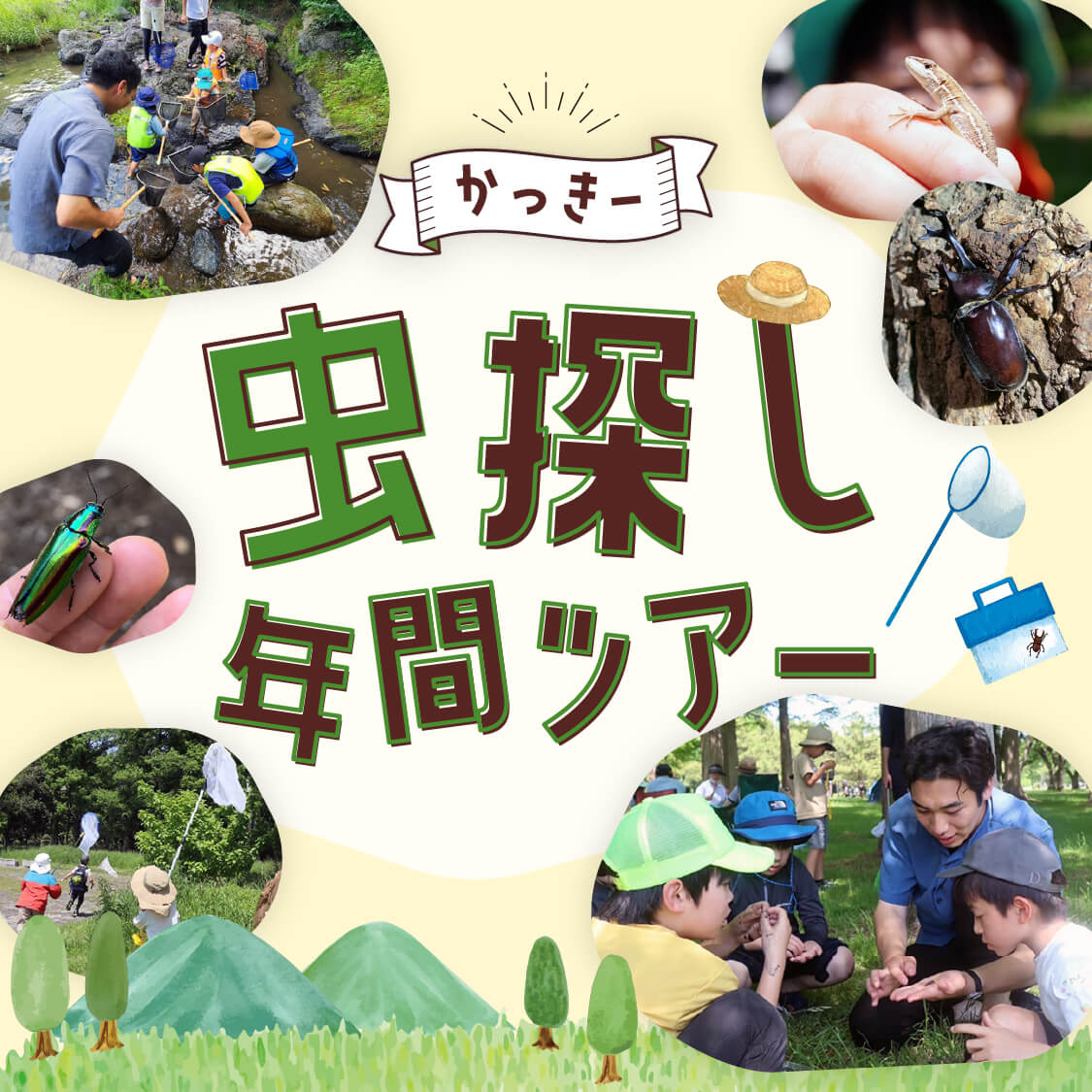 かっきー虫探し年間ツアー