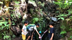 親子向け△高尾山ワンダーランド△湧き水火熾しスモアづくり