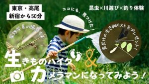 東京・高尾【山、森、水辺の生き物ハイク！＆川遊び＆釣り】野生動物探検