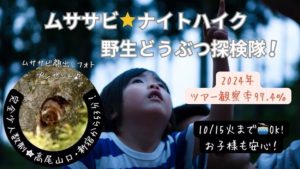 ②東京高尾【ムササビナイトハイク！野生どうぶつ探検隊】子どものみ参加可