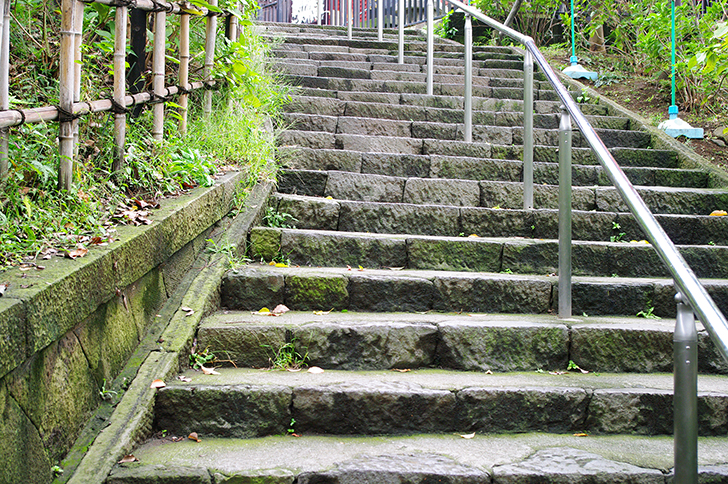 上野公園の石階段