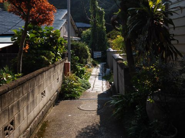 鎌倉の裏道
