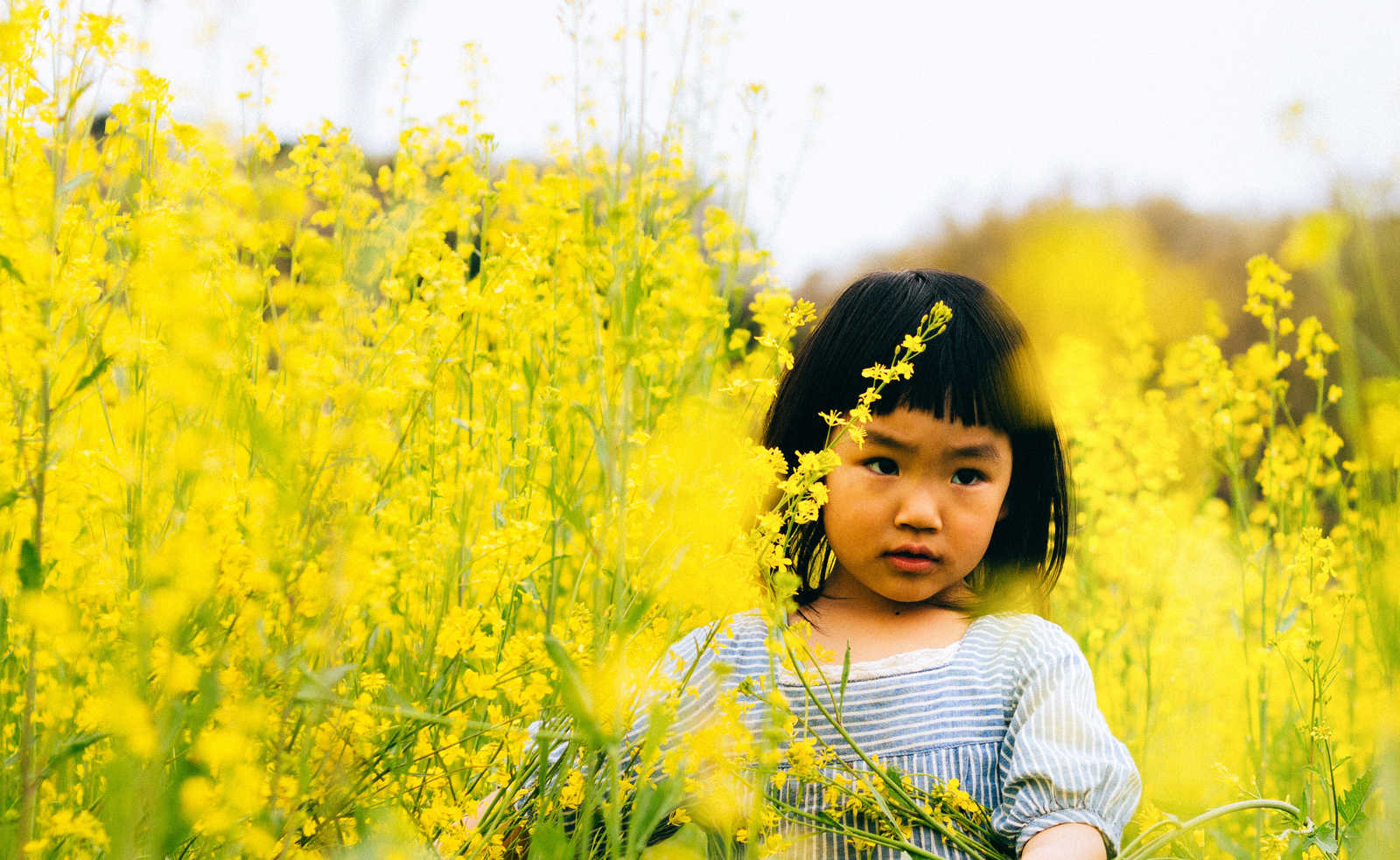春 初夏の花々を楽しむ 関東と関西のお花畑スポット12選 Aini Magazine