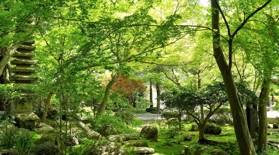 鎌倉の自然の様子