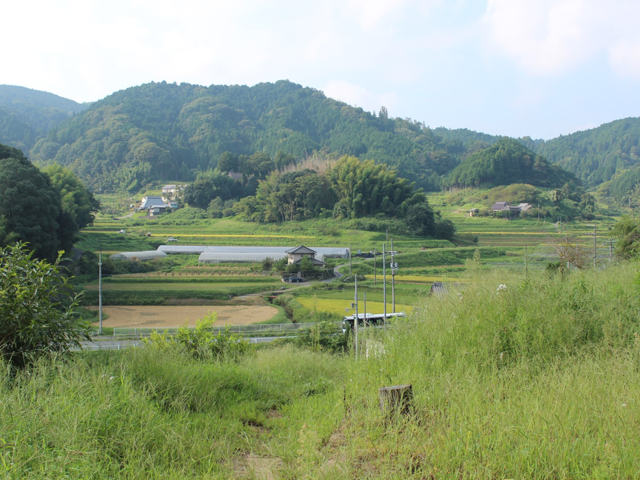 山添村の風景