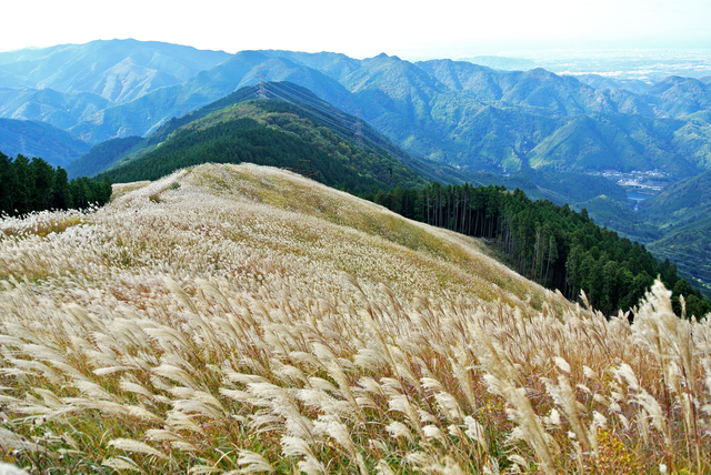 関西の山でハイキング 初心者ハイカーでも安全に楽しめるハイキングスポットはここだ Aini Magazine