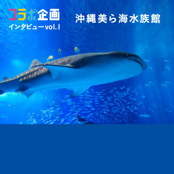 コラボ企画インタビュー Vol.1 沖縄美ら海水族館 「体験を通して見えた、これからの水族館のあり方」