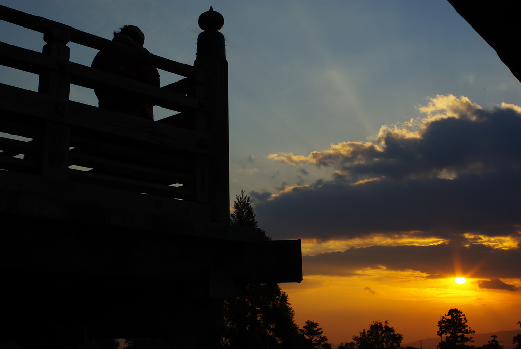 3167431306_7f5b2be6c4_b