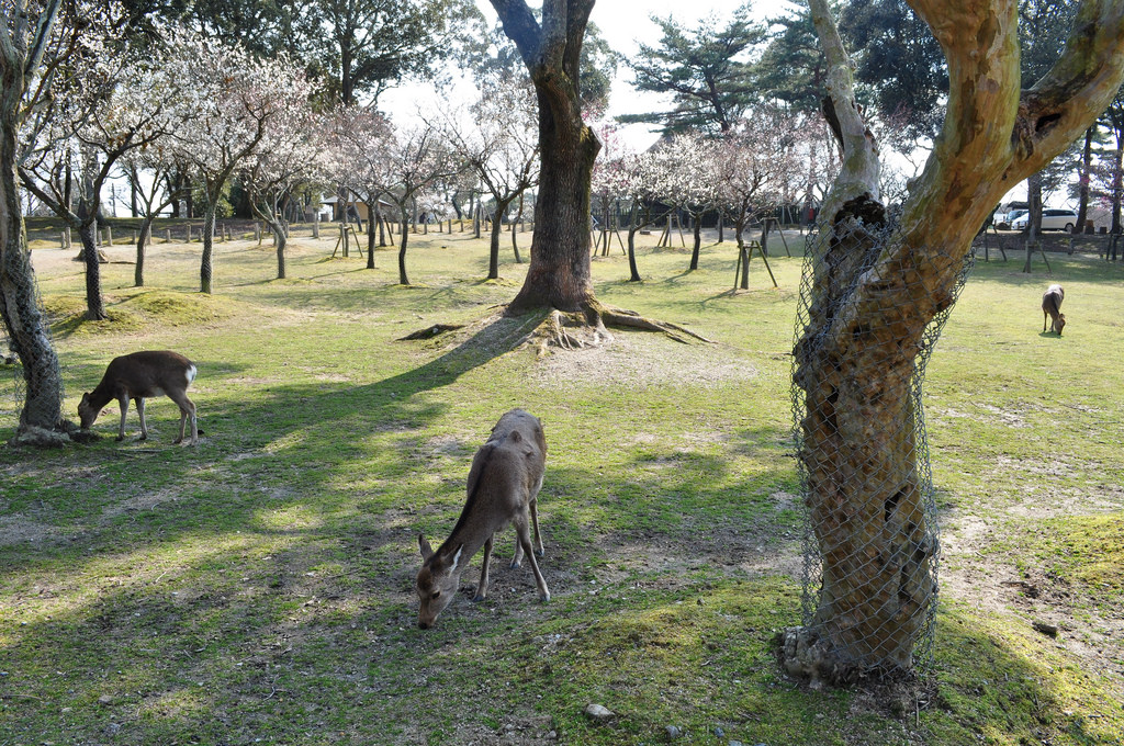 5365960849_c1f6b67e00_b