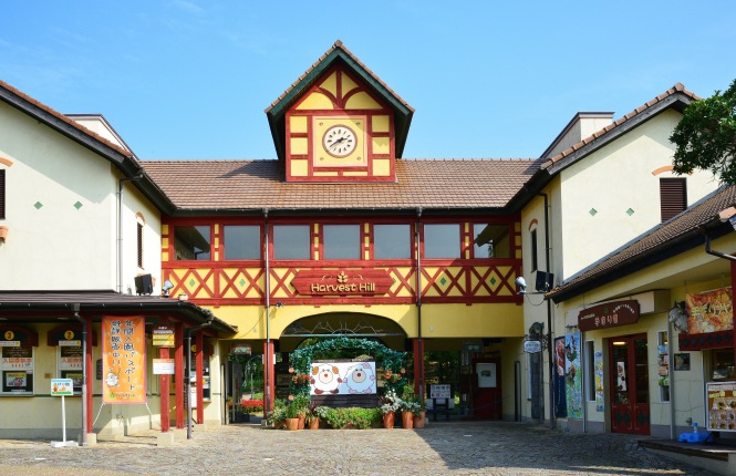 iriguti